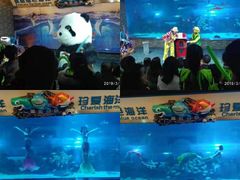 -成都浩海立方海洋公园