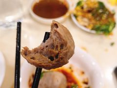 -福合埕牛肉丸(福平路店)