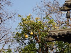 -钱王祠