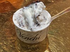 椰子冰淇淋一个球-VENCHI 闻绮(北京国贸商城店)