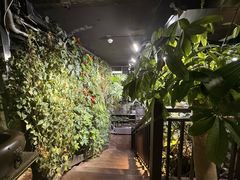 -森味薪火烧•烧鸟居酒屋•日本料理(望京店)