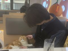 -喵园·猫主题咖啡厅·撸猫·猫咖(国贸店)
