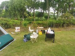 -春花秋色城市公园