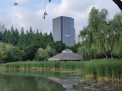 -新虹桥中心花园