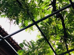 -zarah(鼓楼店)