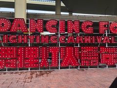 -锦江乐园舞狸花花游园会(夜场专享)