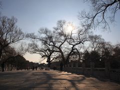 -北陵公园