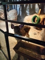 -酷嗒动物文化乐园(cutezoo西溪乐天城店)