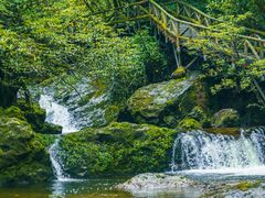 -龙苍沟森林公园