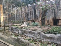 -南宁市动物园
