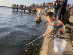 -丁香湖公园