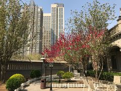 -卫鼎轩·曹公馆(鼓楼店)