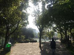 -峙山公园
