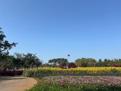-万绿园