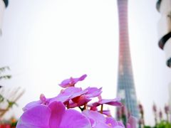 -海心沙亚运公园