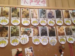 -猫色咖啡·猫咖