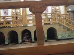 -纽斯桑拿会所(天山店)