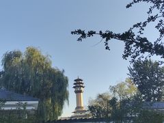 -廊坊市自然公园