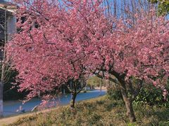 -原乡小镇度假乐园