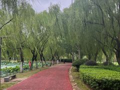 -滨湖塘西河公园