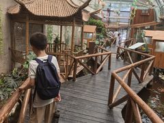 -上海昆虫博物馆