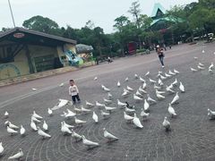 -东部华侨城