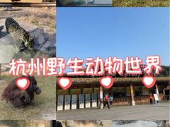 -杭州野生动物世界