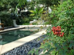 -苏州湾王焰温泉度假酒店
