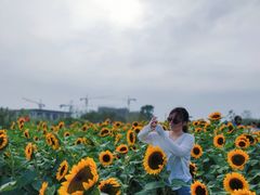 -瑶湖郊野森林公园