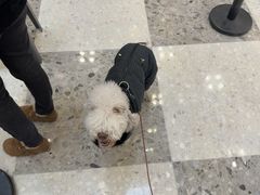 -红星美凯龙北京至尊MALL(东四环中路店)