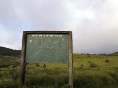 -霍顿平原国家公园