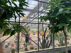 -南宫五洲植物乐园