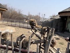 -齐齐哈尔龙沙动植物园