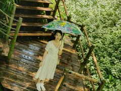 -青青世界
