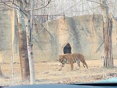 -秦皇岛野生动物园