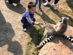 -无锡动物园·太湖欢乐园