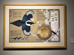 -【朵云轩艺术中心】博洛尼亚插画展·中国巡展·上海站