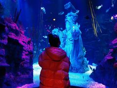 -沈阳海洋探索中心