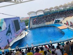-北戴河圣蓝海洋公园