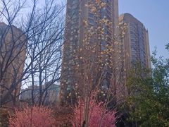 -鹿港小镇(黄金店)