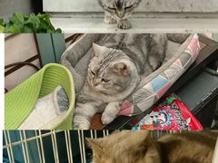 -小时光咖啡馆(北锣鼓巷店)