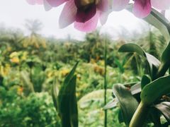 -万兴启丰椰子文化园餐厅