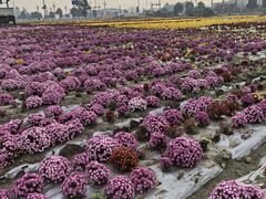 -中国天府农业博览园