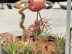 -虹御轩·传承江浙菜(虹桥店)