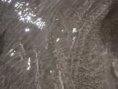 -重庆海昌加勒比海水世界