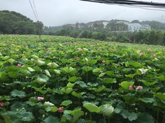 -韶山毛泽东同志故居