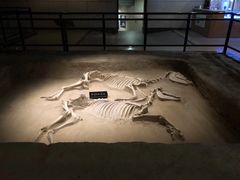 -洛阳周王城天子驾六博物馆