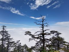 -瓦屋山景区