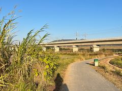 -光明小镇欢乐田园