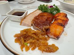 烧鹅烧肉叉烧海蜇拼盘-朱仔记食府(江南大道店)
